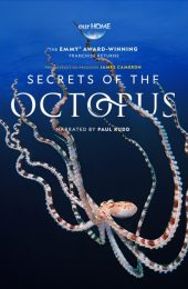 SECRETSOFTHEOCTOPUShpfile_2x3 (2)