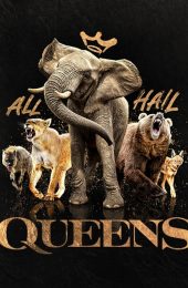 queens_homepageTile_2x3 (2)